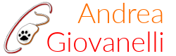 Posizionamento SEO a Modena e Bologna